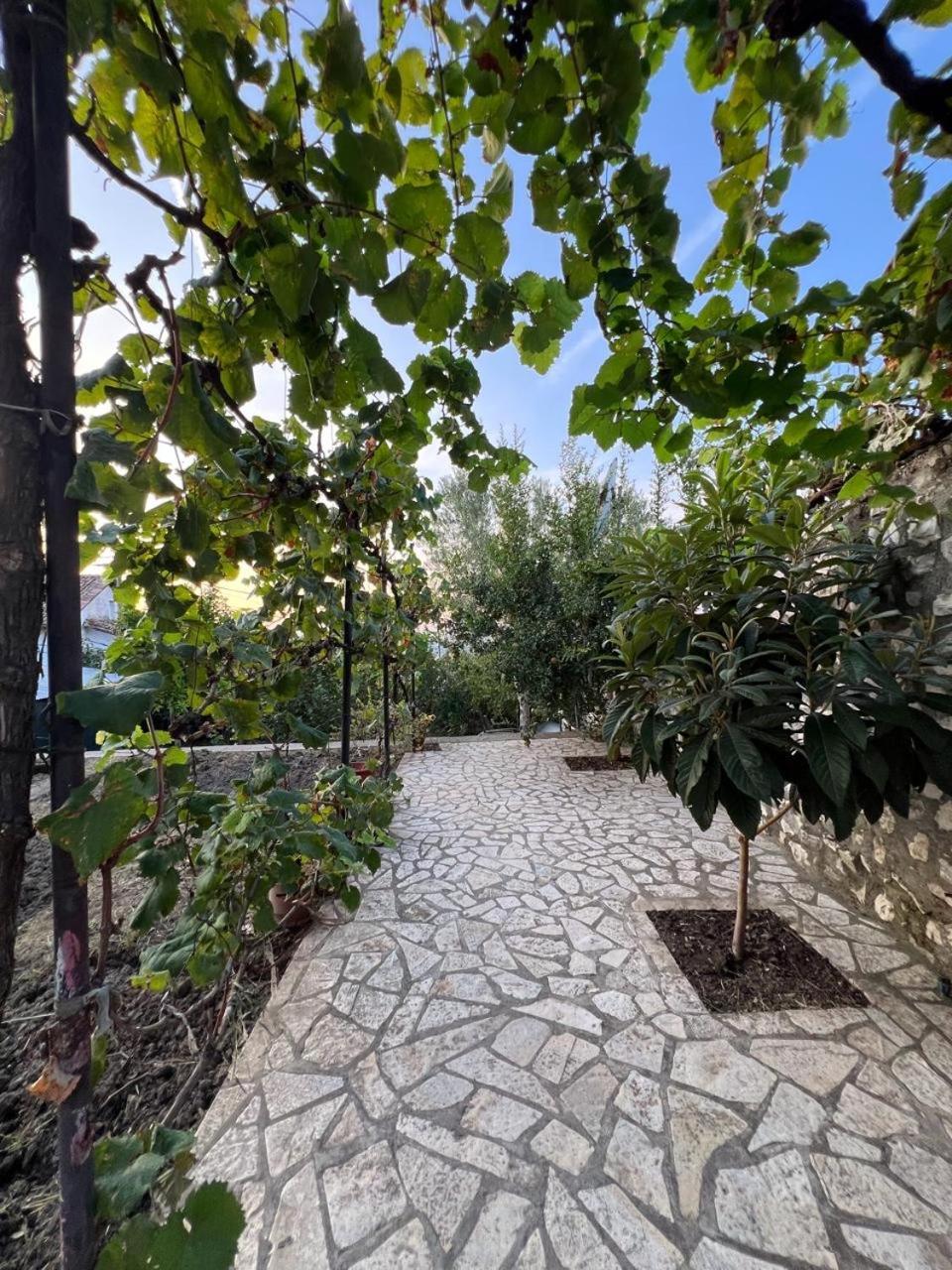 Pjetri House Hotel Berat Kültér fotó